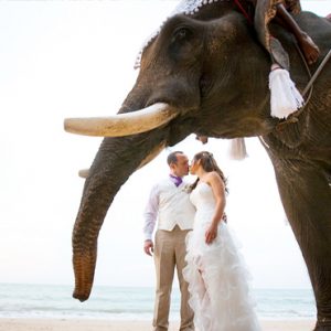 Beach Weddings Abroad Thailand Weddings Elephant At Beach Wedding