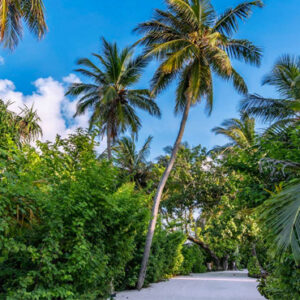 Gardens 3 OBLU By Atmosphere Helengeli Maldives Beach Weddings Abroad